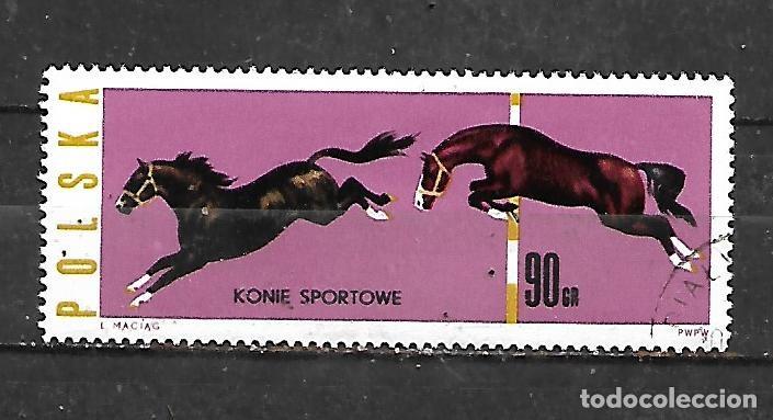 Sellos: 1963: Caballos - Salto de vallas (CTO)