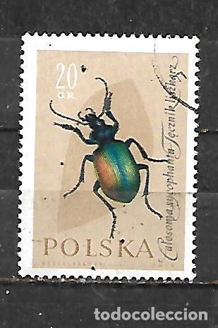 Sellos: 1961: Insectos - Calosoma (CTO)