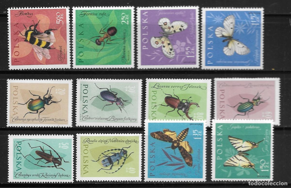 Sellos: POLONIA 1962, Ivert 1140/51 -.FAUNA - INSECTOS. MNH.