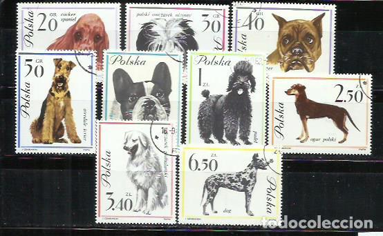 Sellos: 9761- SERIE COMPLETA PERROS CANES POLONIA 1963 N&ordm; 1232/1240 MUY BONITOS. 9,00&euro; YVERT.
