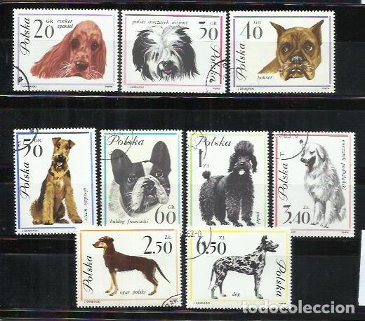 Sellos: 9780- SERIE COMPLETA PERROS CANES POLONIA 1963 N&ordm; 1232/1240 MUY BONITOS. 9,00&euro; YVERT.
