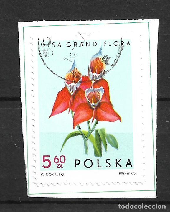 Sellos: polonia 1965 scott 1353 usado flora - 33/47