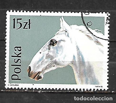 Sellos: 1989: Caballos - Lippiazano (CTO)