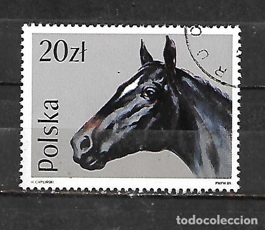 Sellos: 1989: Caballos - Pura sangre &aacute;rabe (CTO)