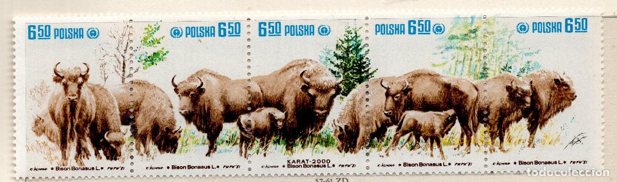 Sellos: POLONIA 1981 STAMP MCHEL PL 2764-2768