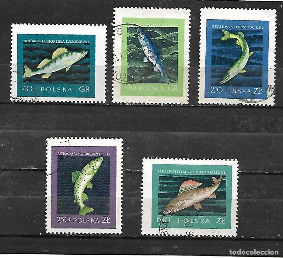 Sellos: 1958: Serie &rdquo;Peces&rdquo; (usado)