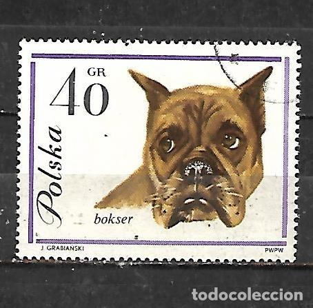 Sellos: 1963: Perros - Boxer alem&aacute;n (CTO)