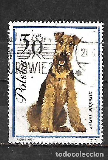 Sellos: 1963: Perros - Terrier Airedale (usado)