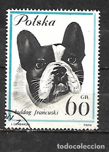 Sellos: 1963: Perros - Bulldog franc&eacute;s (CTO)