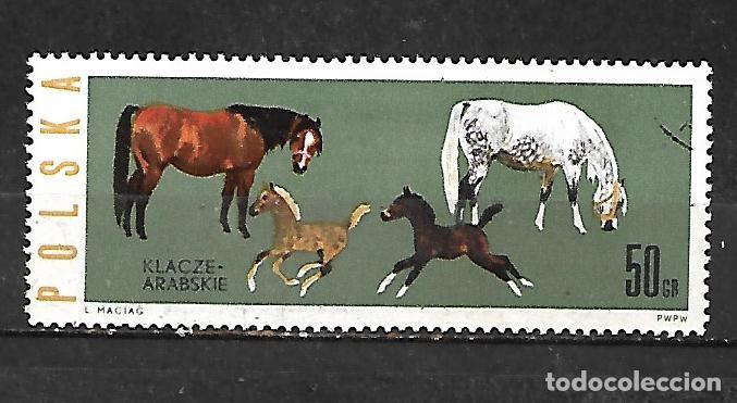 Sellos: 1963: Caballos - &Aacute;rabes (CTO)