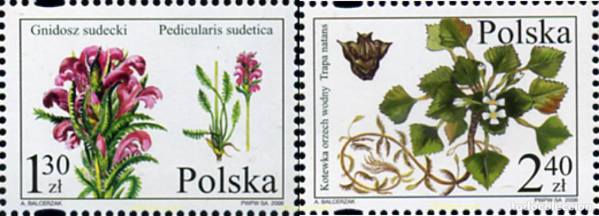 Sellos: 199464 MNH POLONIA 2006 PLANTAS SALVAJES