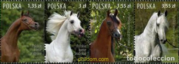Sellos: 206639 MNH POLONIA 2007 CABALLOS