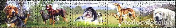 Sellos: 197138 MNH POLONIA 2006 PERROS