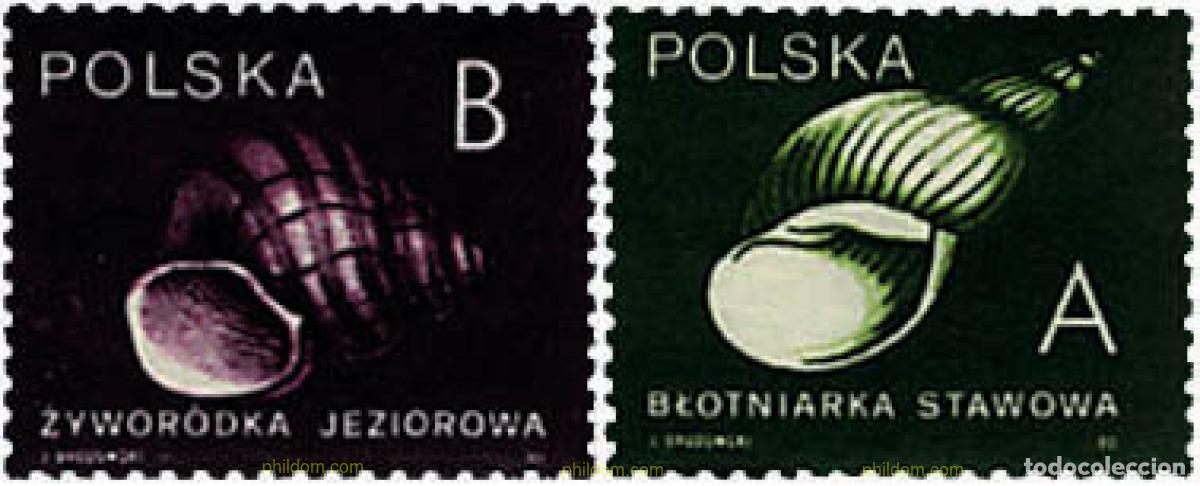 Sellos: 56194 MNH POLONIA 1990 CONCHAS