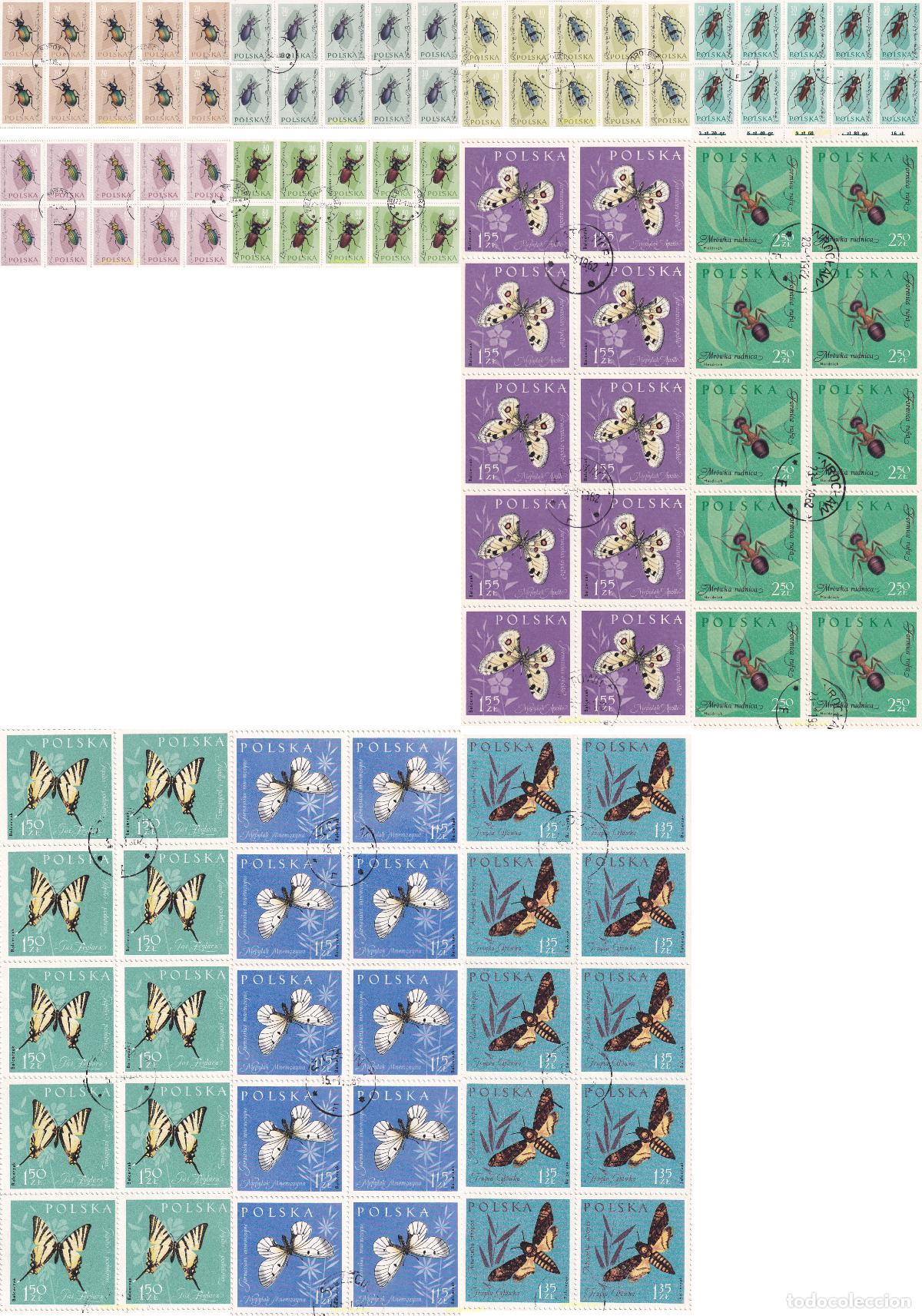 Sellos: 620794 USED POLONIA 1961 INSECTOS