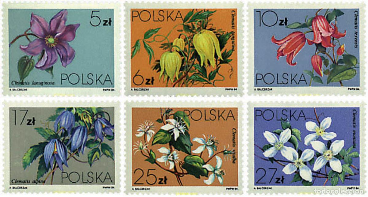 Sellos: 94374 MNH POLONIA 1984 CLEMATIDES