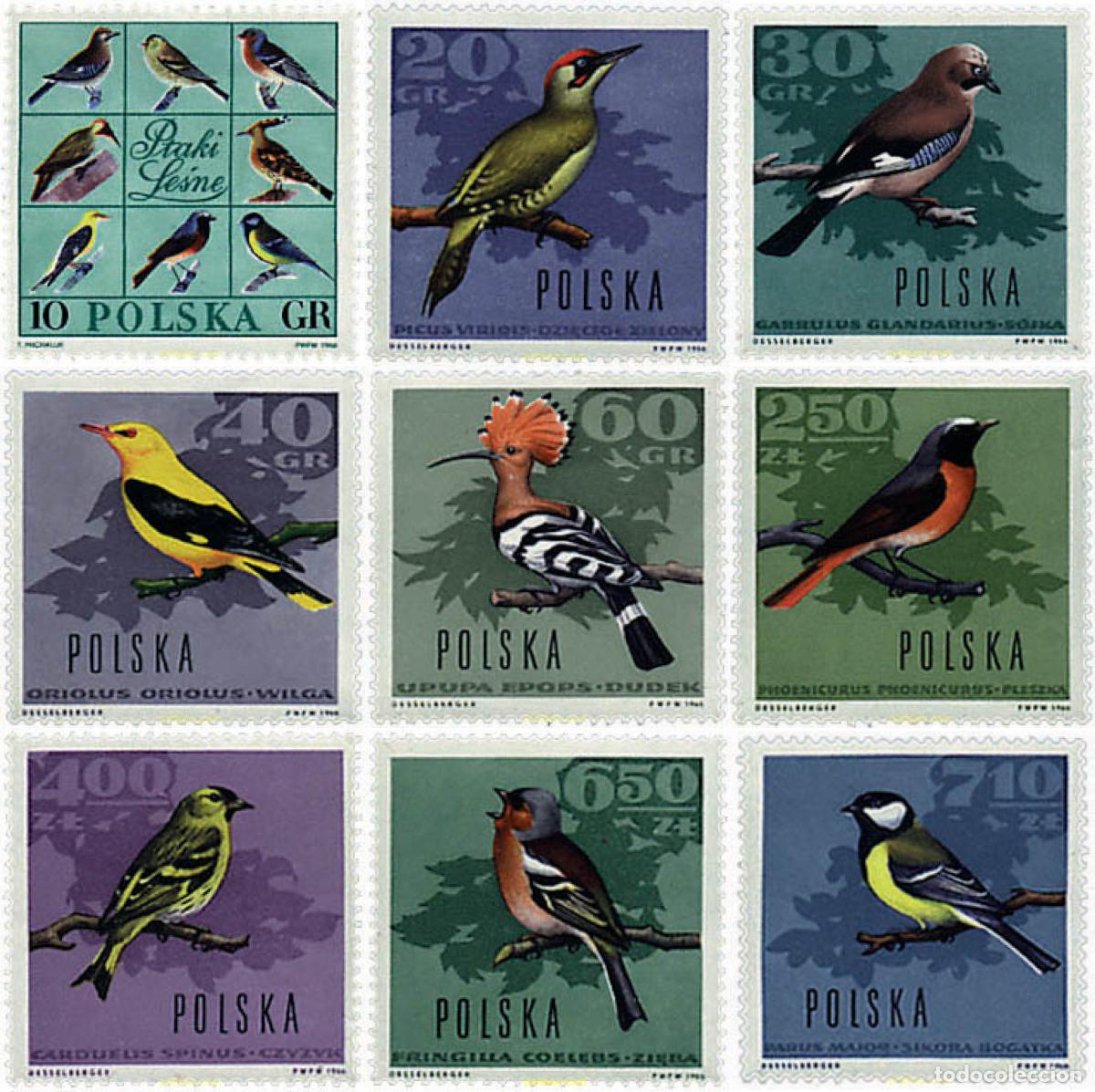 Sellos: 61625 MNH POLONIA 1966 PAJAROS DEL BOSQUE