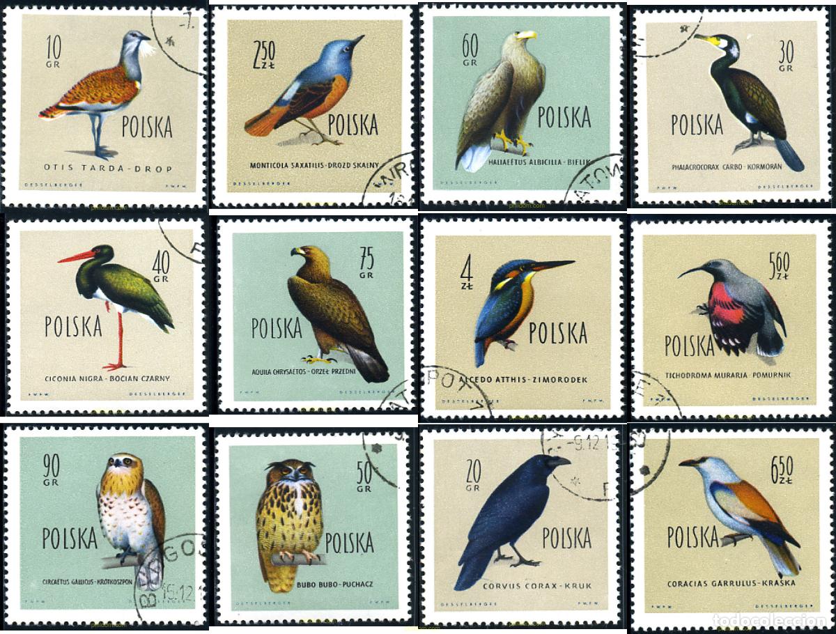 Sellos: 230523 USED POLONIA 1960 AVES