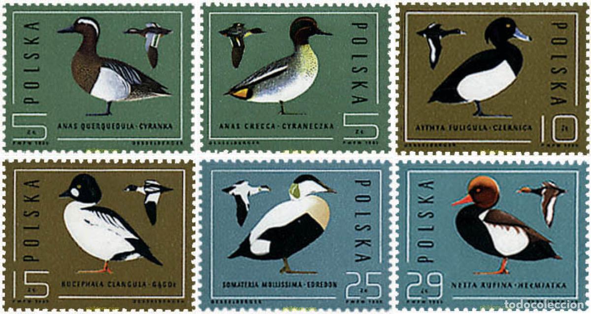 Sellos: 61712 MNH POLONIA 1985 PATOS