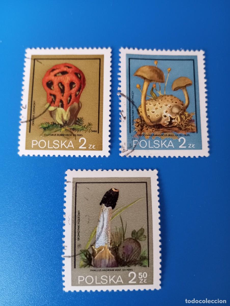 Sellos: POLONIA, 1980, SETAS, - Foto 1