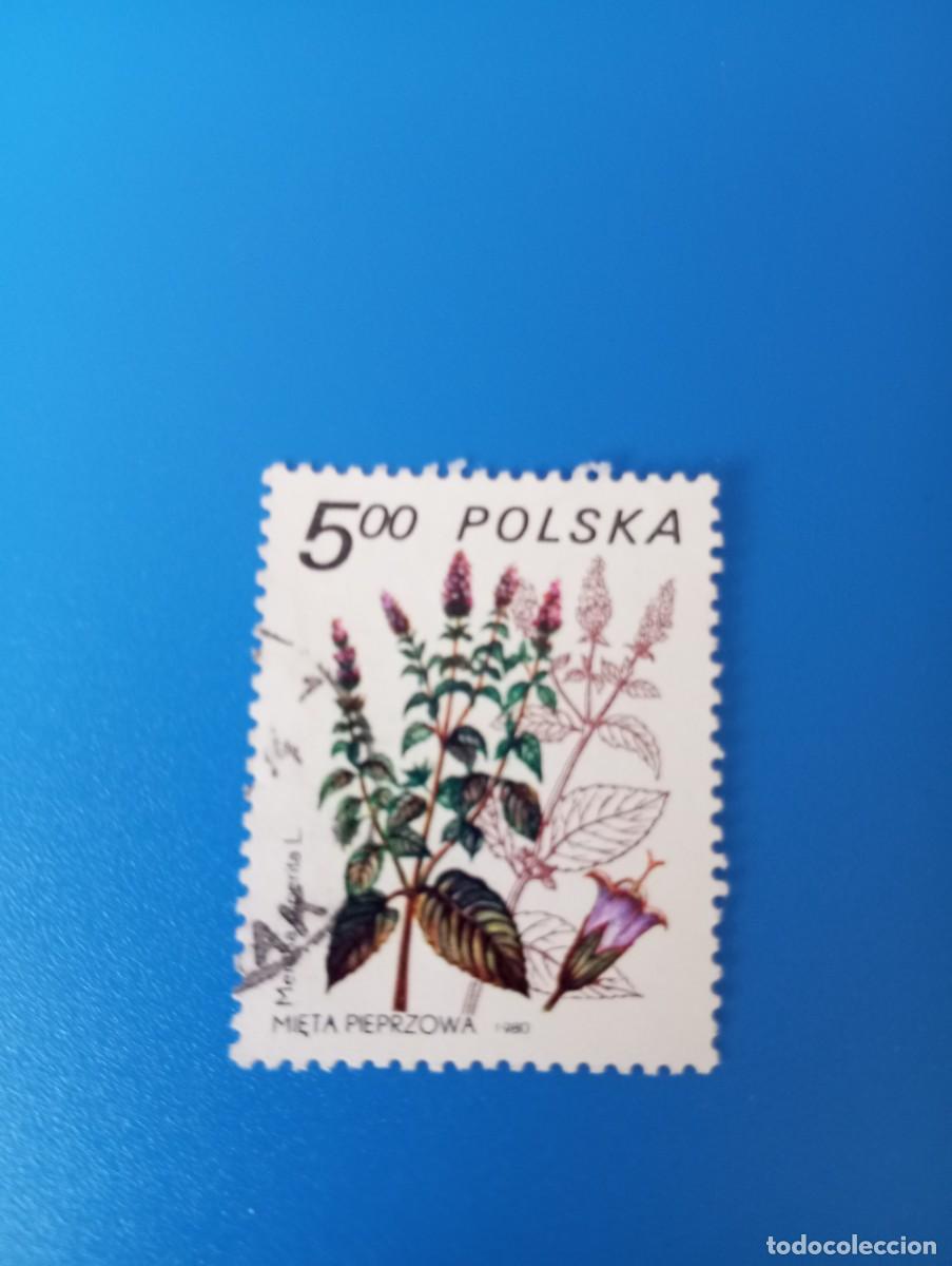 Sellos: POLONIA, 1980, PLANTAS MEDICINALES, YT 2526