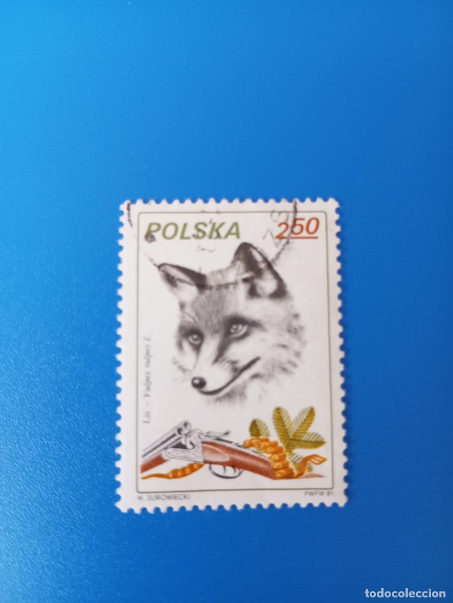 Sellos: POLONIA, 1981, ANIMALES Y CAZA, ZORRO, YT 2546