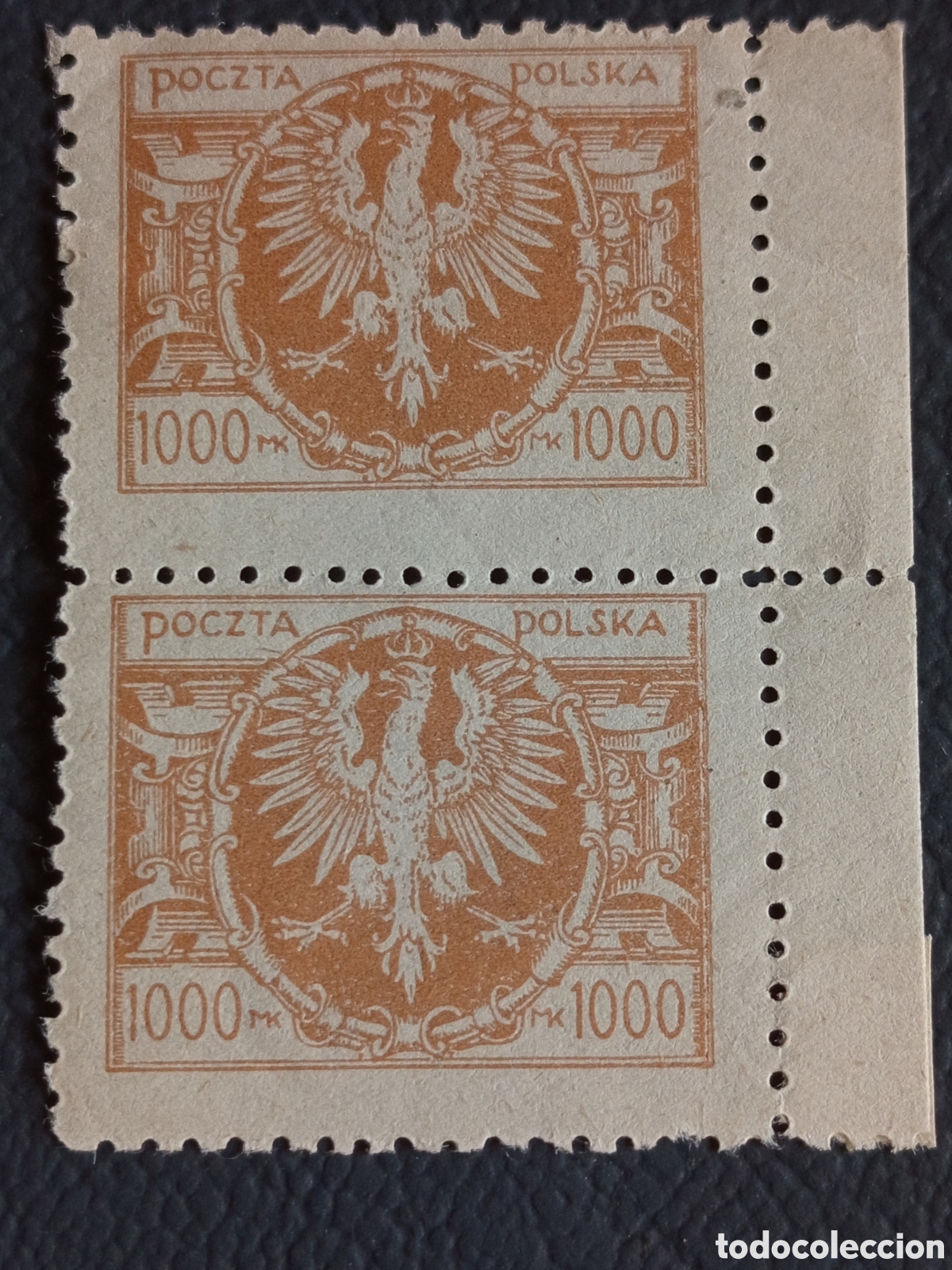 Sellos: Polonia 1921 1000 Mk &Aacute;guila naranja par vertical con borde MNH Scott 163