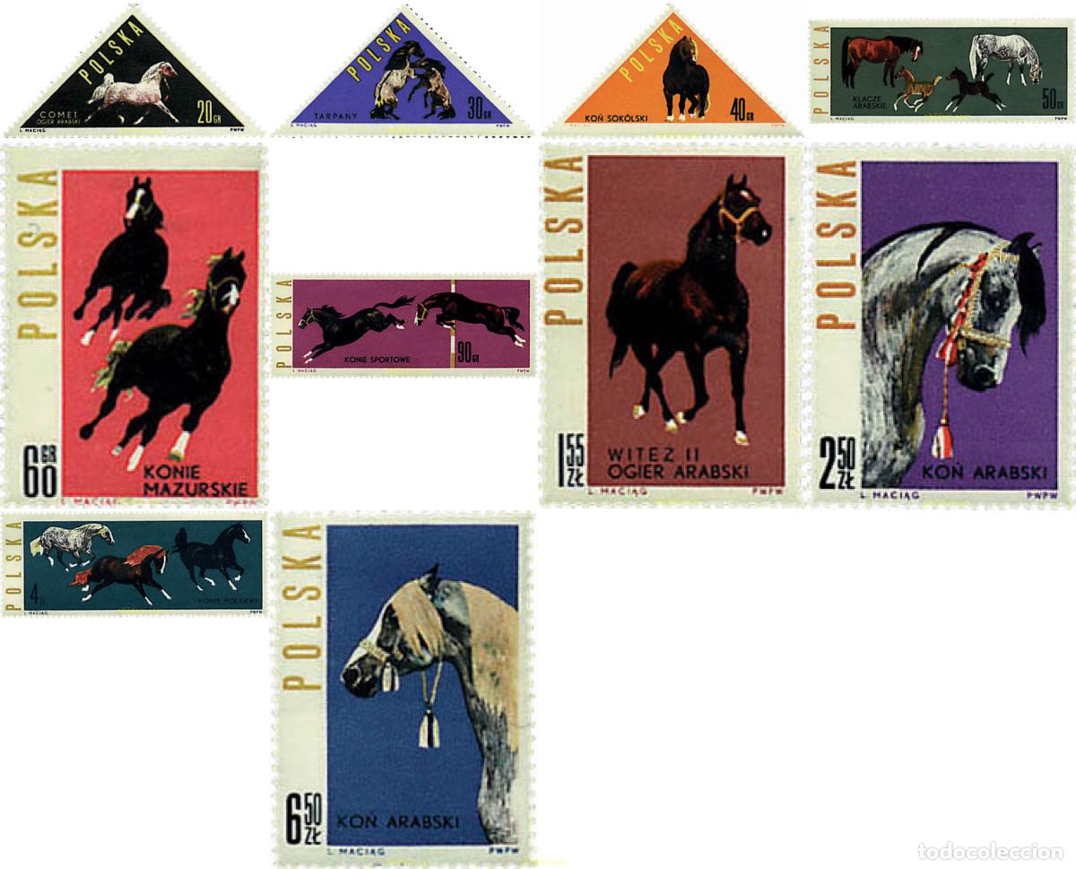 Sellos: 61607 MNH POLONIA 1963 FAUNA. CABALLOS