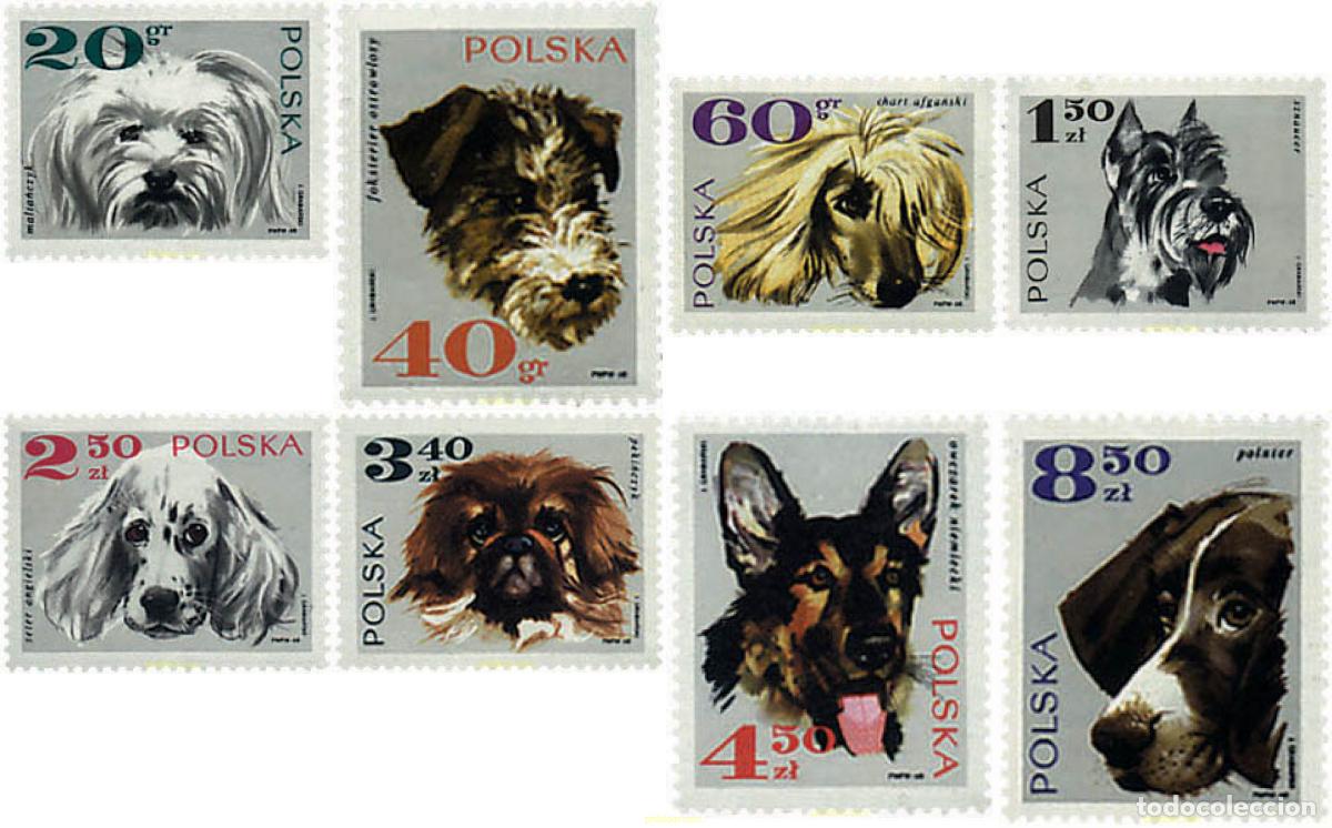 Sellos: 61637 MNH POLONIA 1969 PERROS DE RAZA