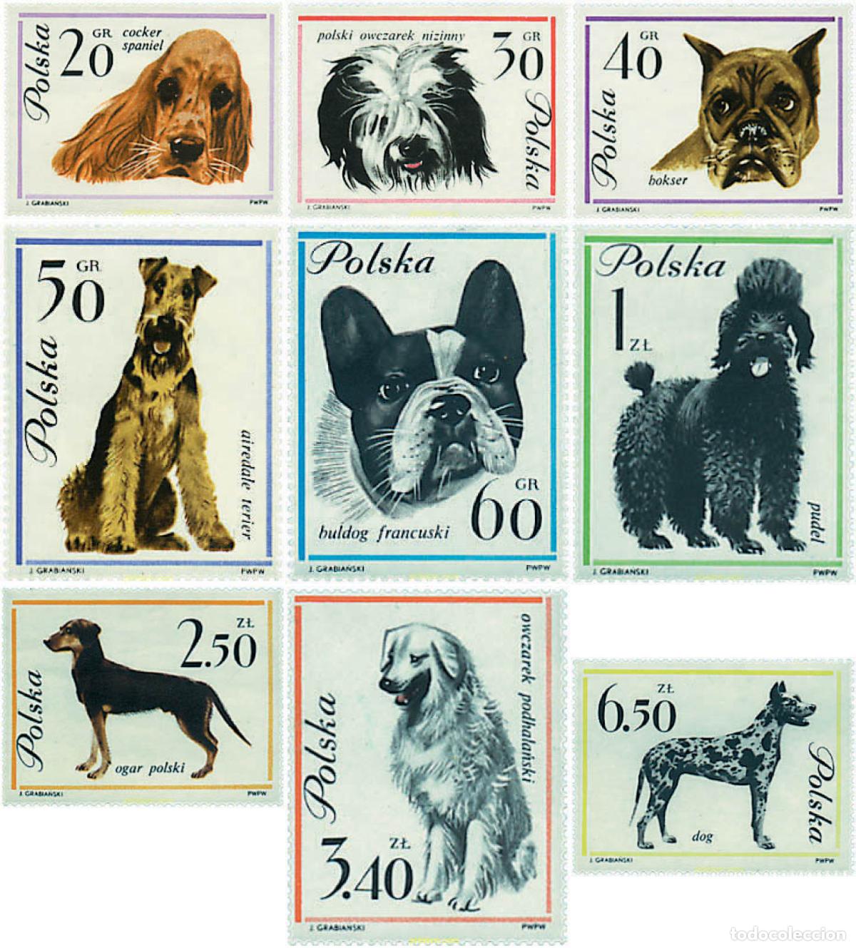 Sellos: 61606 MNH POLONIA 1963 PERROS DE RAZA