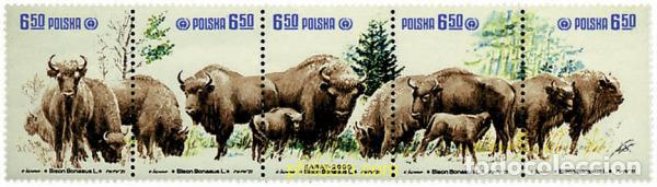 Sellos: 6900 MNH POLONIA 1981 PROTECCION DE LA NATURALEZA. BISONTES.