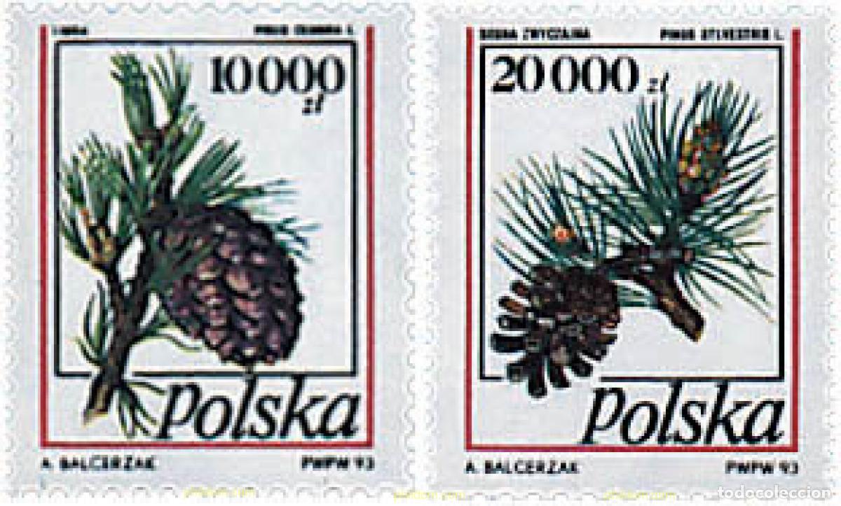 Sellos: 61768 MNH POLONIA 1993 PI&Ntilde;AS DE PINO