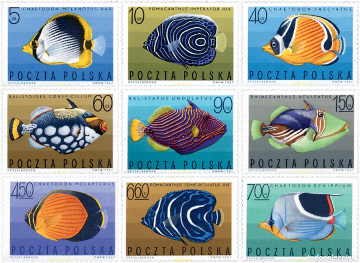 Sellos: 61626 MNH POLONIA 1967 PECES EXOTICOS