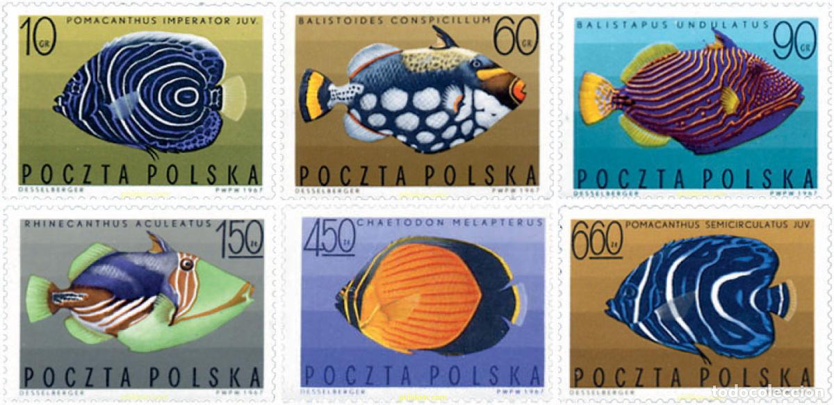 Sellos: 230548 MNH POLONIA 1967 PECES EXOTICOS