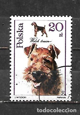 Sellos: 1989: Perros - Terrier gal&eacute;s (CTO)