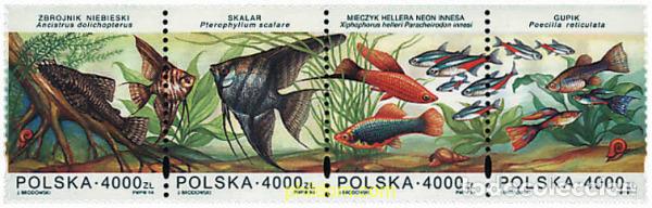 Sellos: 156196 MNH POLONIA 1994 PECES ORNAMENTALES