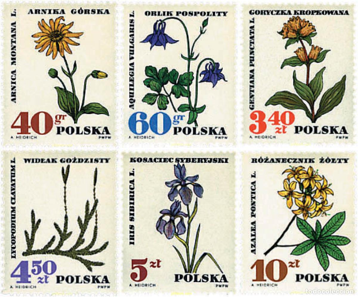 Sellos: 94360 MNH POLONIA 1967 FLORES SILVESTRES