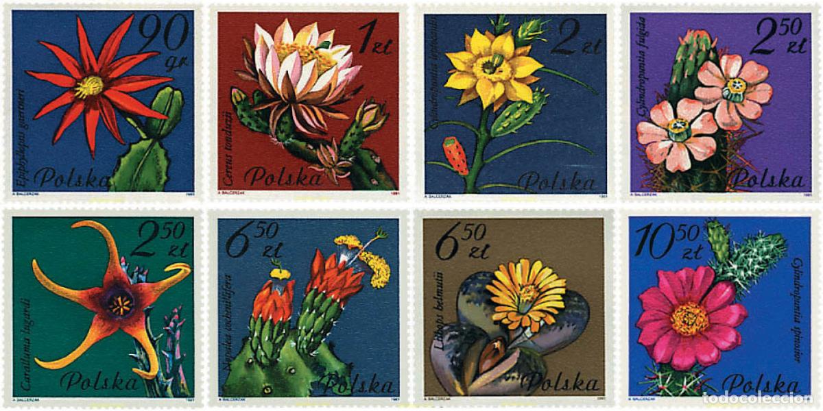 Sellos: 96216 MNH POLONIA 1981 FLORES DE CACTUS