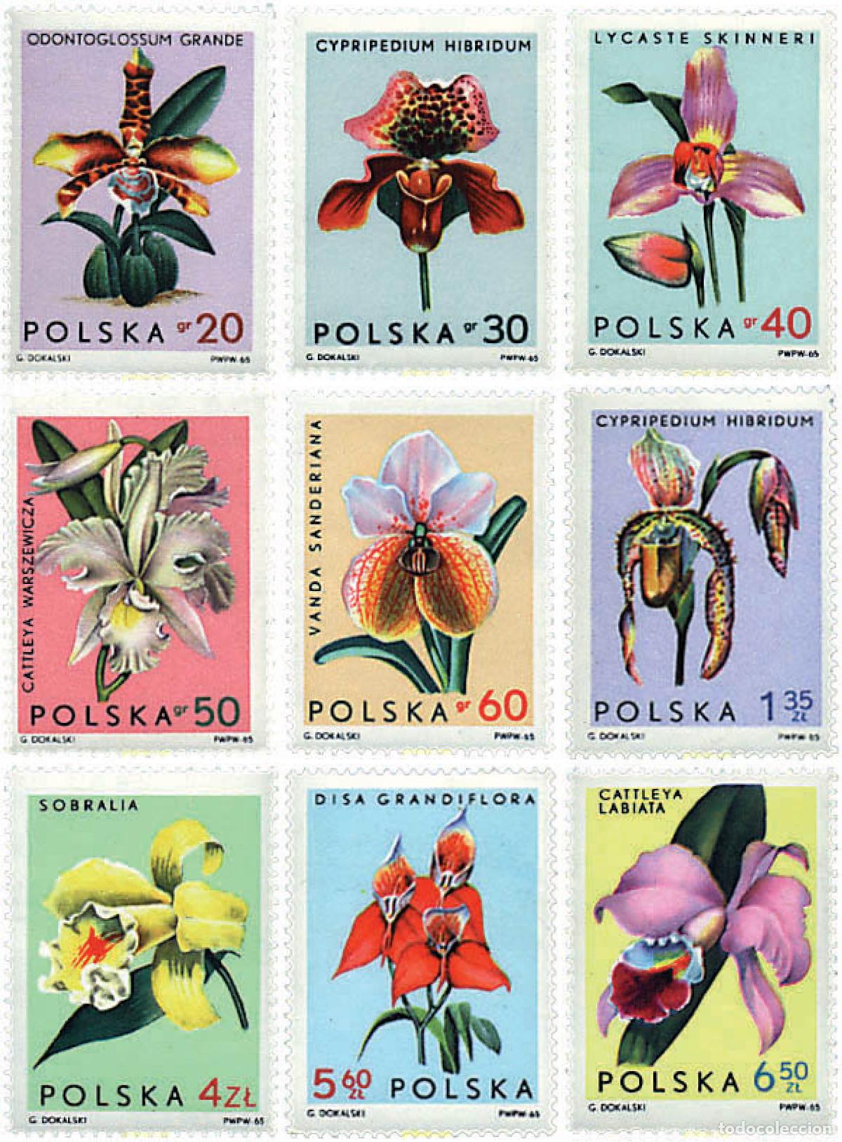 Sellos: 94358 MNH POLONIA 1965 ORQUIDEAS