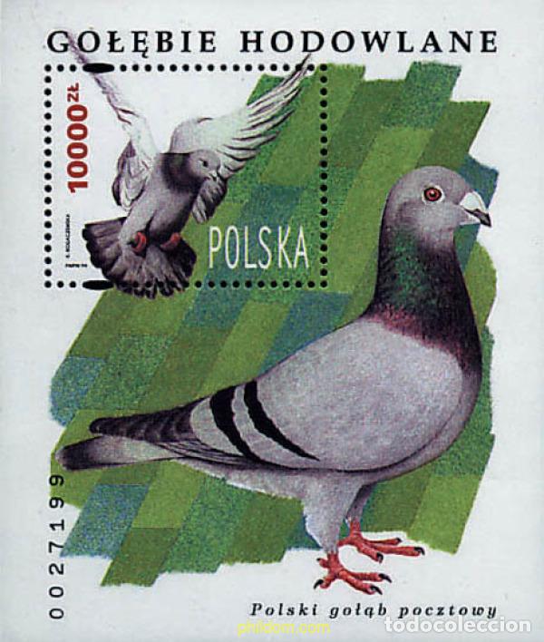 Sellos: 61794 MNH POLONIA 1994 PALOMA