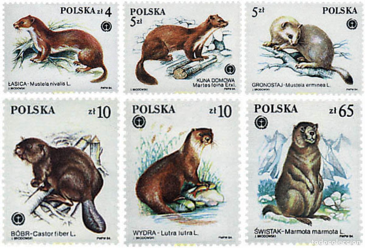 Sellos: 61710 MNH POLONIA 1984 MAMIFEROS