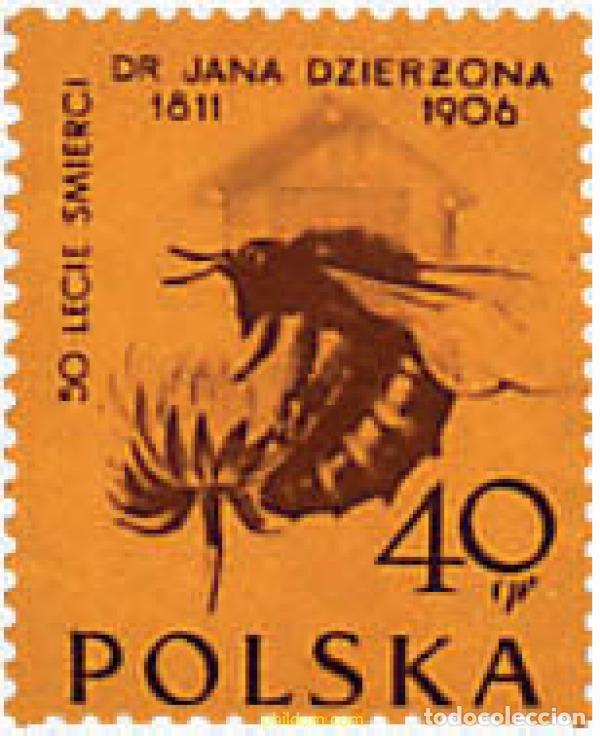 Sellos: 266964 HINGED POLONIA 1956 50 ANIVERSARIO DE LA MUERTE DEL APICULTOR J. DZIERZON