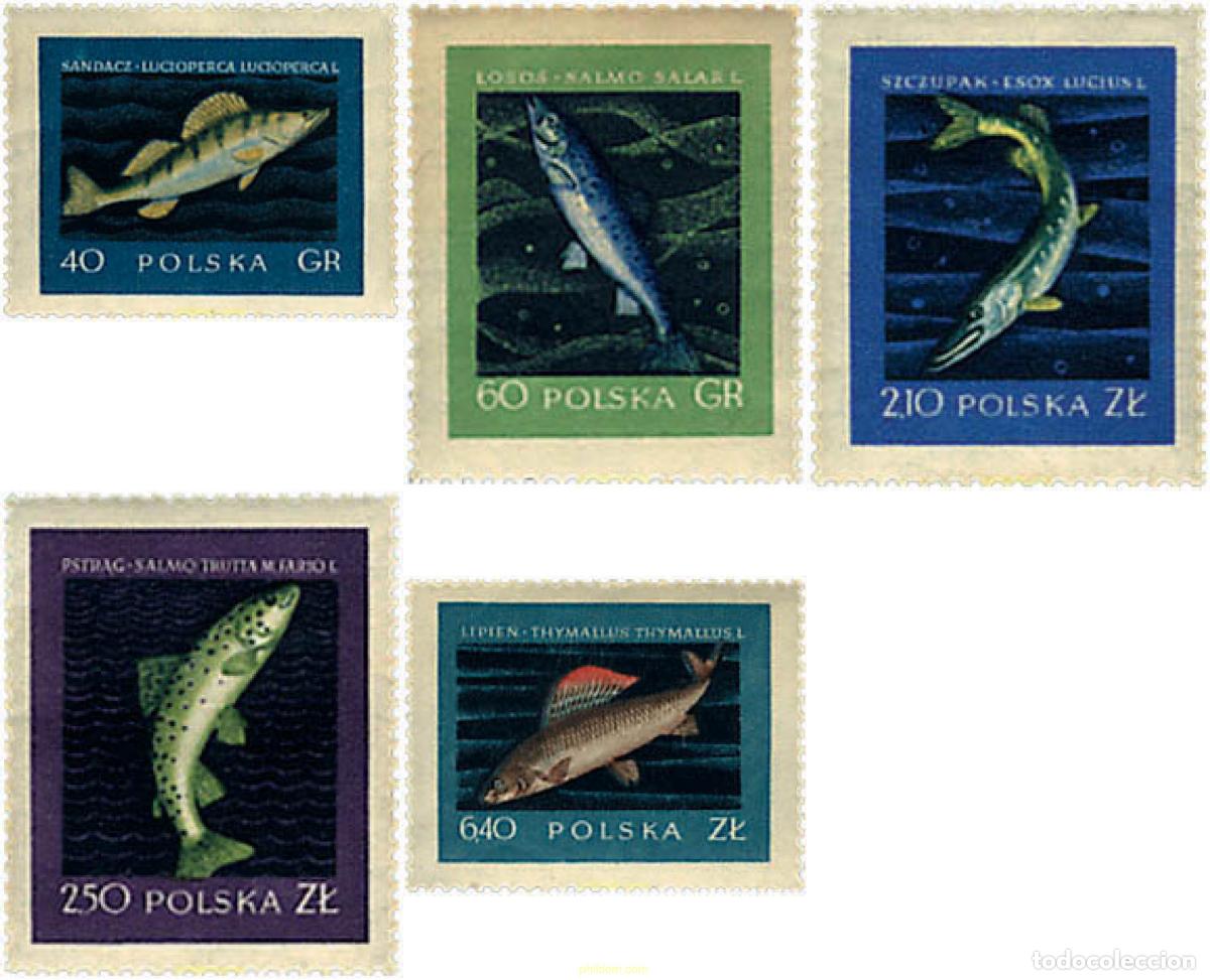 Sellos: 61568 MNH POLONIA 1958 PECES