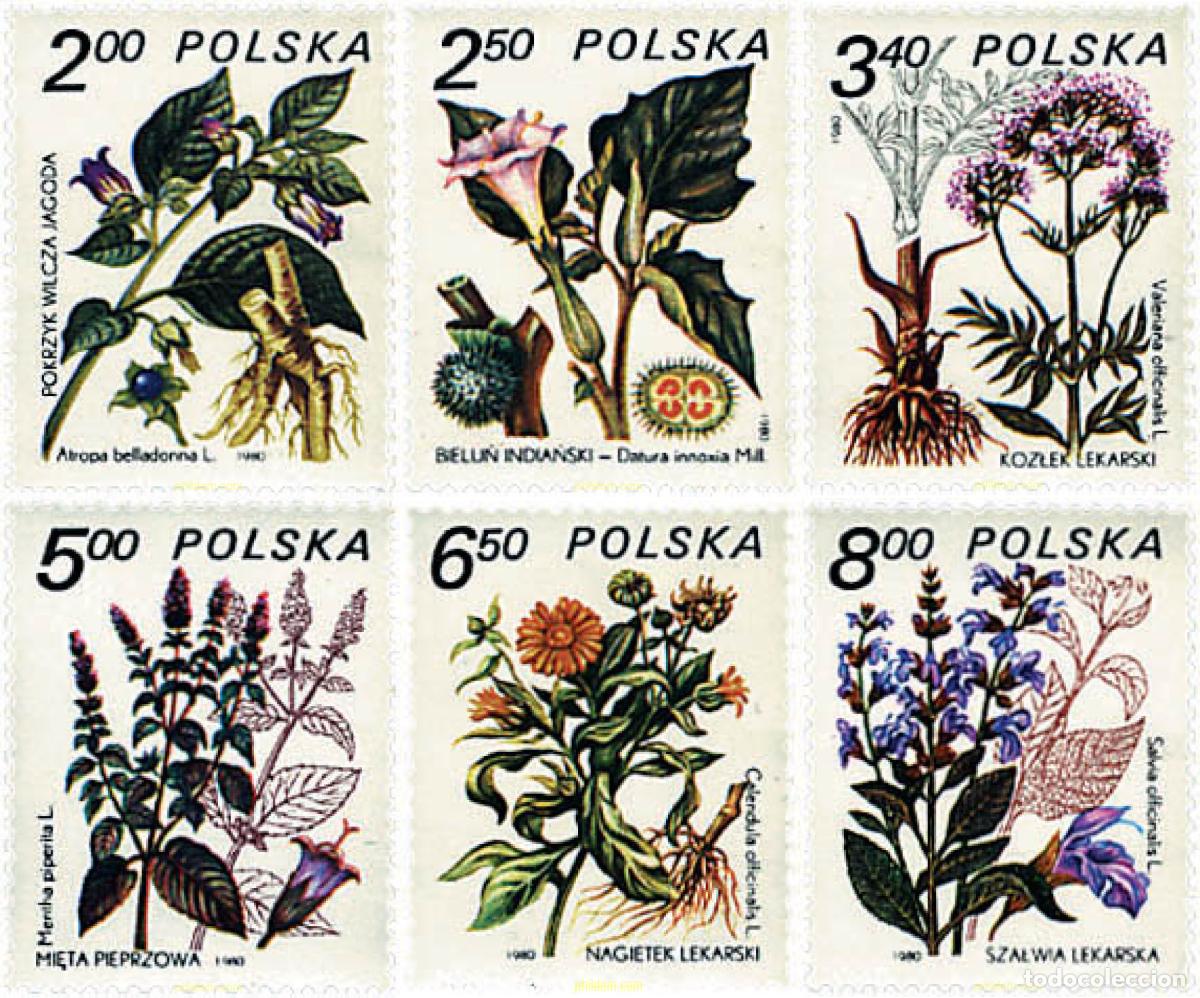Sellos: 94373 MNH POLONIA 1980 PLANTAS MEDICINALES