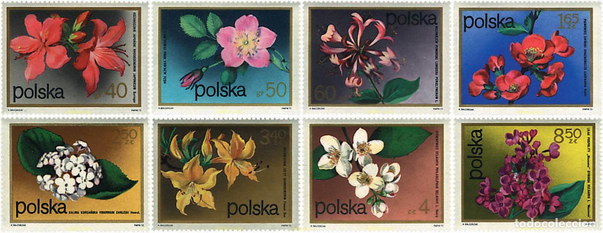 Sellos: 94364 MNH POLONIA 1972 FLORES