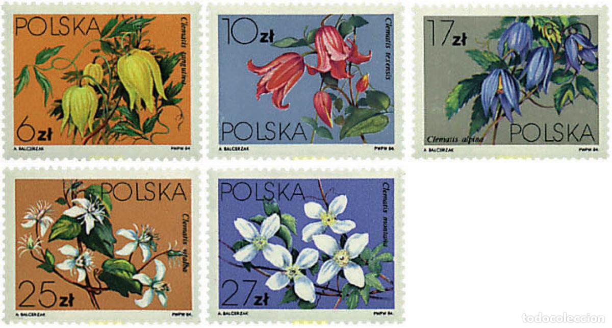 Sellos: 232158 MNH POLONIA 1984 CLEMATIDES
