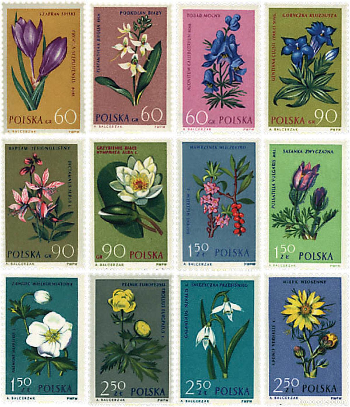 Sellos: 94355 MNH POLONIA 1962 FLORES SILVESTRES