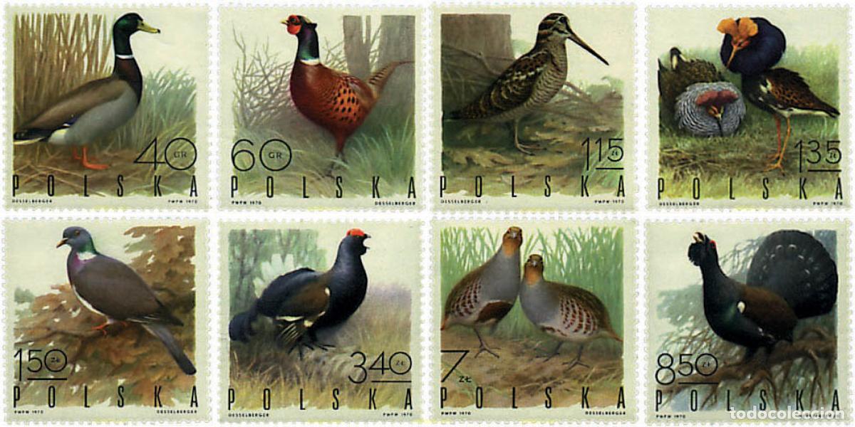 Sellos: 61641 MNH POLONIA 1970 CAZA