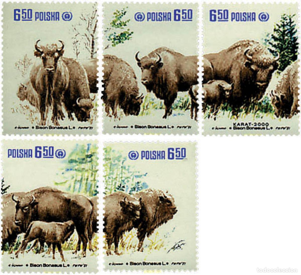Sellos: 61699 MNH POLONIA 1981 PROTECCION DE LA NATURALEZA. BISONTES.
