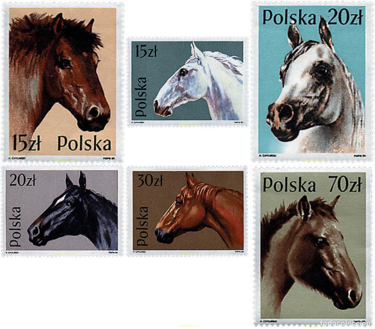 Sellos: 30471 MNH POLONIA 1989 RAZAS DE CABALLOS.